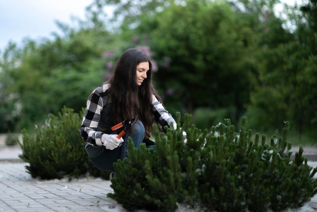 Una giovane giardiniera femminile che si prende cura di un pino sul cortile