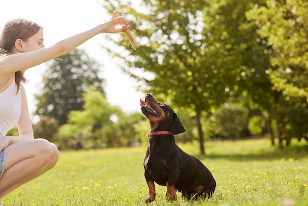 una giovane ragazza addestra un cane bassotto nel parco in una giornata di sole un cane con un osso