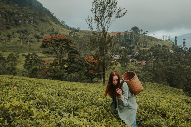Una giovane turista in una piantagione di tè in Sri Lanka raccoglie il tè