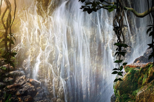 Una grande cascata in una grotta nella misteriosa giungla fatata tropicale