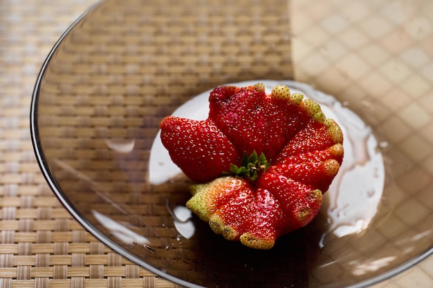 Una grande fragola matura con una forma insolita originale La fragola sembra una conchigliaxA