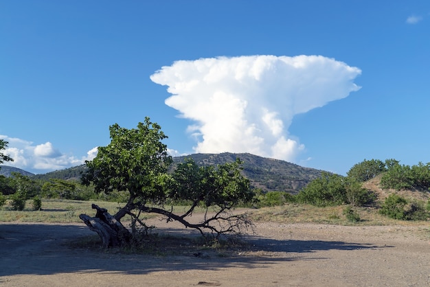 Una grande nuvola bianca a forma di fungo sopra le montagne. Crimea. Choban-kule.