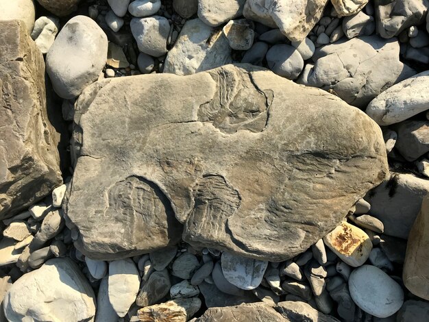 Una grande pietra giace su un ciottolo di mare sulla spiaggia. pezzo di roccia. Foto di alta qualità