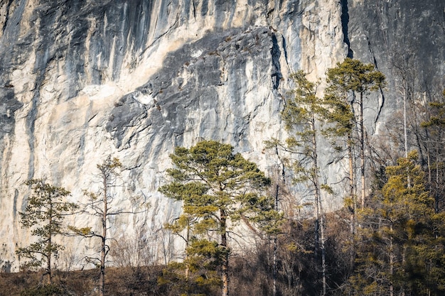 Una grande scogliera sul lato di una montagna nella foresta