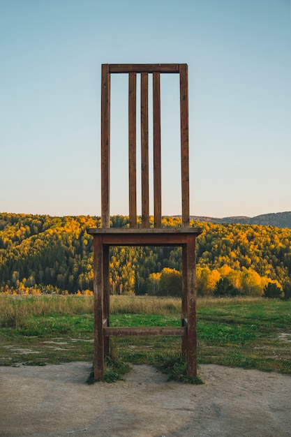 Una grande sedia tagliata in legno come attrazione trono da favola della regina della foresta in piedi in legno senza persone all'aperto. sfondo naturale. gruppo turistico Belokurikha 2