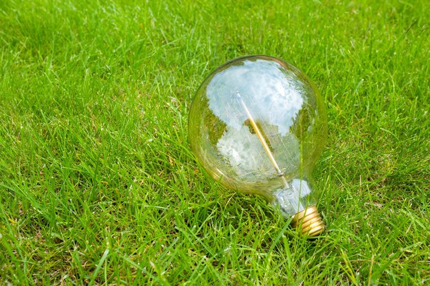 Una lampadina a incandescenza nell'erba verde Concetto di risparmio energetico Un primo piano Un'idea