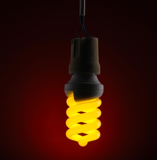 Una lampadina a risparmio energetico accesa su sfondo rosso