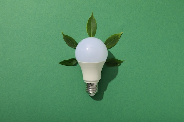 Una lampadina con foglie su uno sfondo verde