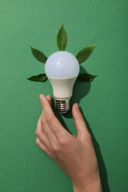 Una lampadina con foglie su uno sfondo verde