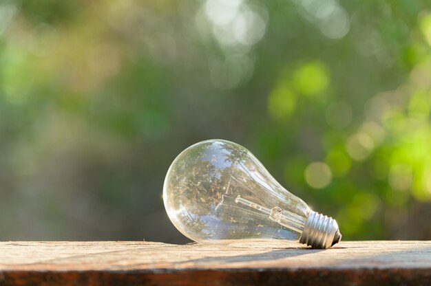 Una lampadina posizionata su un pavimento di legno