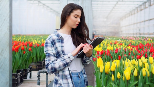 Una lavoratrice in serra ispeziona i tulipani e inserisce i dati in un tablet