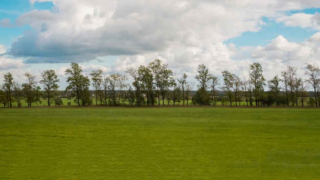Una linea di alberi in un campo all'orizzonte. Protezione dei campi dall'erosione.