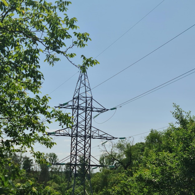 Una linea elettrica è in primo piano di una foresta.