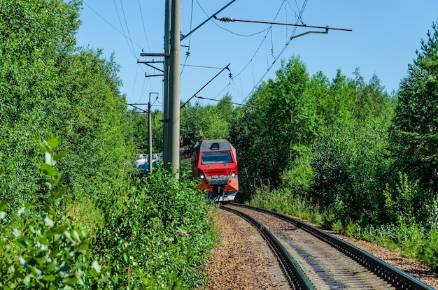 Una locomotiva elettrica su rotaie nella foresta in estate.