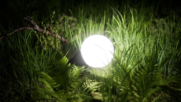 Una luce ecologica nell'erba per la pubblicità