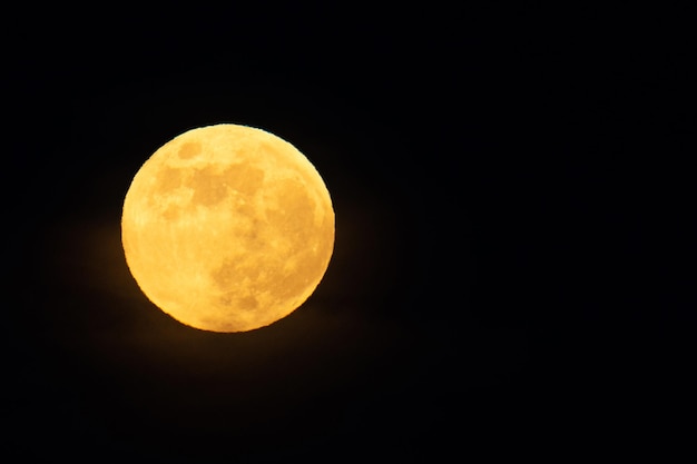 Una luna piena gialla nel cielo