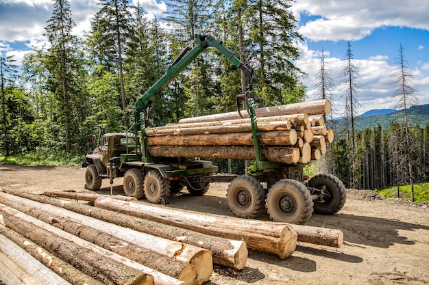 Una macchina forestale con il suo artiglio di legno in una foresta Un carrello elevatore afferra il legno nel legno