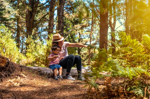 Una madre con suo figlio seduto su un albero in natura accanto ai pini al tramonto