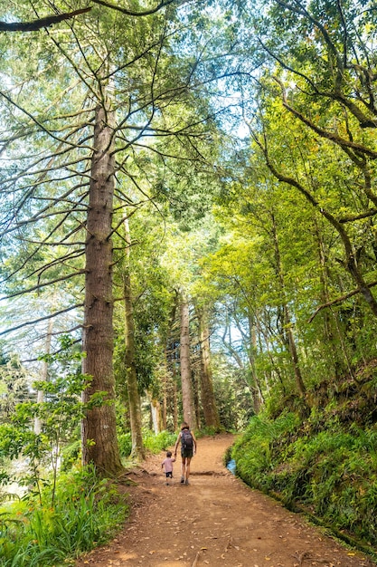 Una madre con suo figlio sul sentiero nel bosco nella Levada do Caldeirao Verde Queimadas Madeira