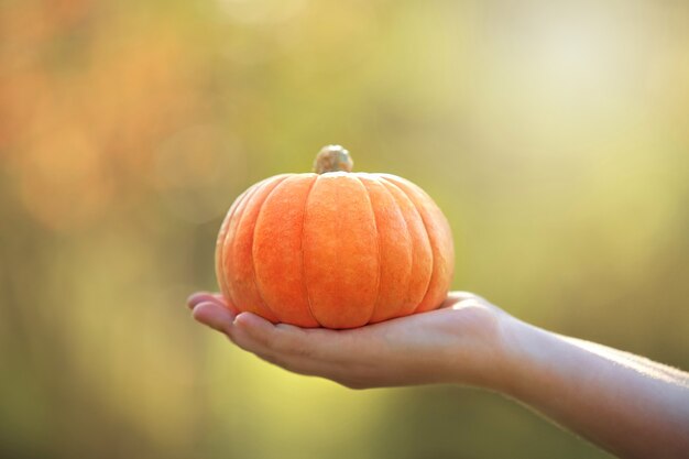 Una mano al centro, che tiene una succosa zucca