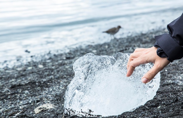 Una mano che accarezza il ghiaccio sulla spiaggia di Jokulsarlon Ice Lake nel Golden Circle