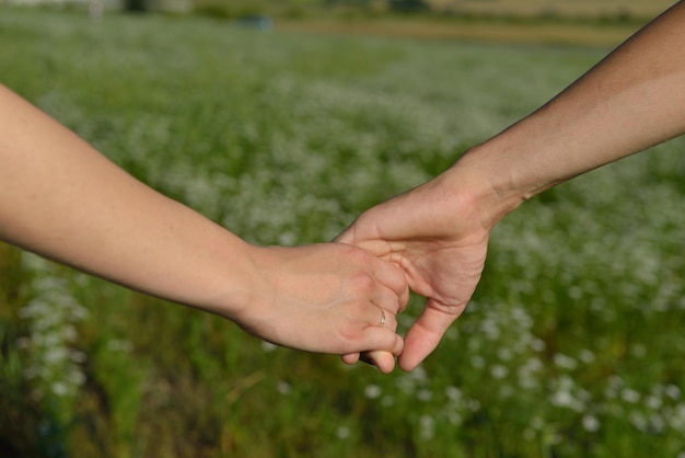 una mano che ha la parola amore su di essa