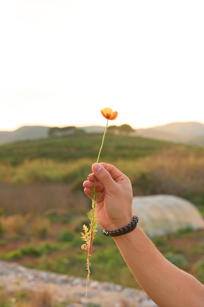 Una mano che tiene un fiore con su scritto "la parola fiore".