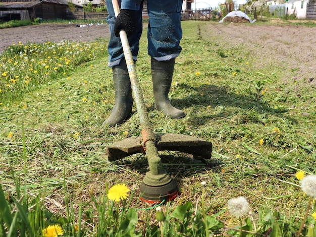 Una mano d'uomo in un guanto nero tiene un tosaerba su un prato verde in una giornata di primavera sullo sfondo di un'aia