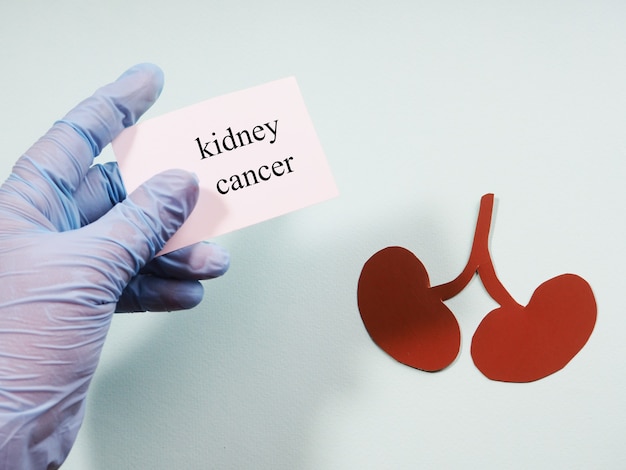 Una mano in un guanto medico tiene un cartello con la scritta "cancro ai reni" sullo sfondo della sagoma dei reni
