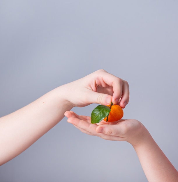 Una mano mette un mandarino dolce e succoso nella mano dell'altra bambino su uno sfondo grigio. Vista frontale