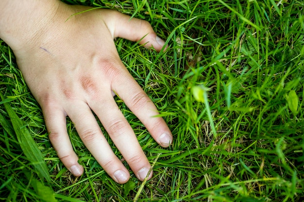 Una mano nell'erba verde