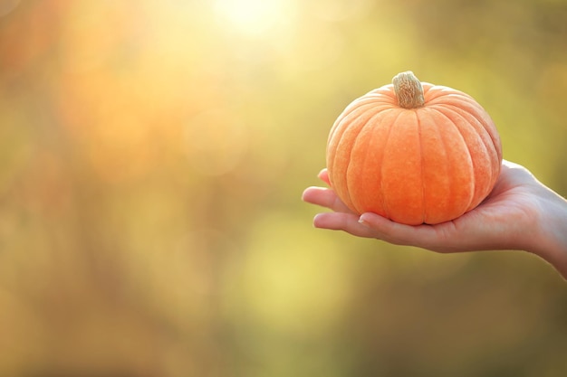 Una mano sul lato destro, che tiene una zucca succosa