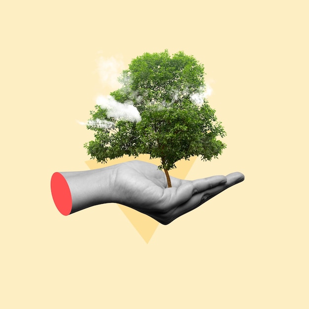 Una mano umana che mostra un albero verde