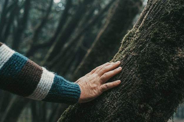 Una mano umana che tocca dolcemente un tronco d'albero con muschio Concetto di amore natura e parco all'aperto persone Viaggi Ambiente e protezione delle foreste stile di vita tempo libero ambientale Giornata della Terra