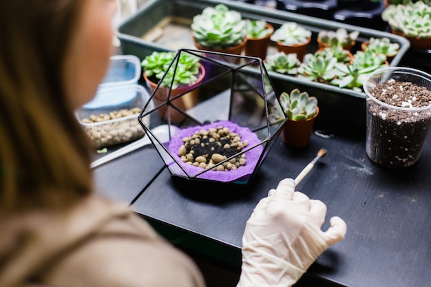 Una master class per piantare cactus e sukkulentov sotto forma di vetro