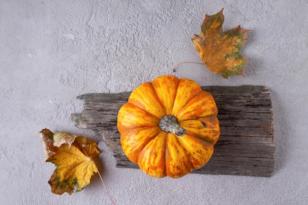 Una mini zucca arancione giace su una tavola di legno su uno sfondo grigio tra le foglie autunnali