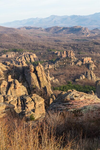 una montagna con una persona su di essa e un sentiero al centro