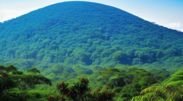 Una montagna con uno sfondo blu e una foresta verde in primo piano.