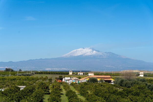 Una montagna è sullo sfondo di un campo con case e alberi