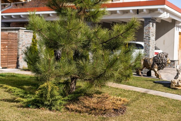 Una nuova casa con giardino in una zona rurale.