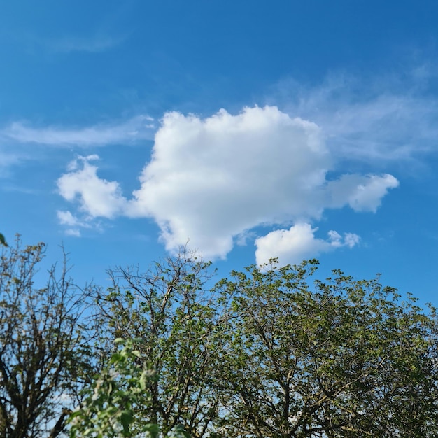 Una nuvola che è nel cielo con un cielo blu