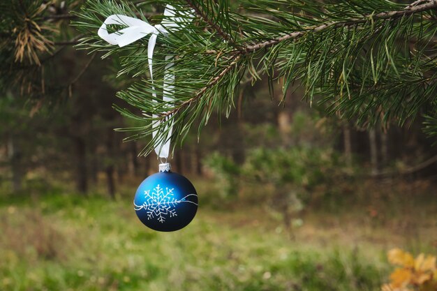 Una palla blu con un nastro bianco su un ramo dell'albero di Natale Decorazione dell'albero di Natale