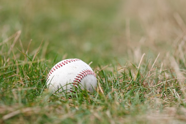 Una palla da baseball sdraiata a terra concetto sport