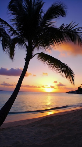 Una palma sulla spiaggia al tramonto