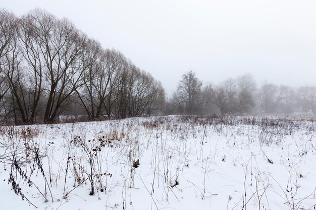 Una palude ricoperta di neve e ghiaccio nella stagione invernale