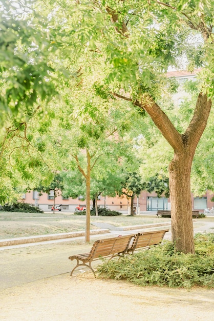 Una panchina nel parco