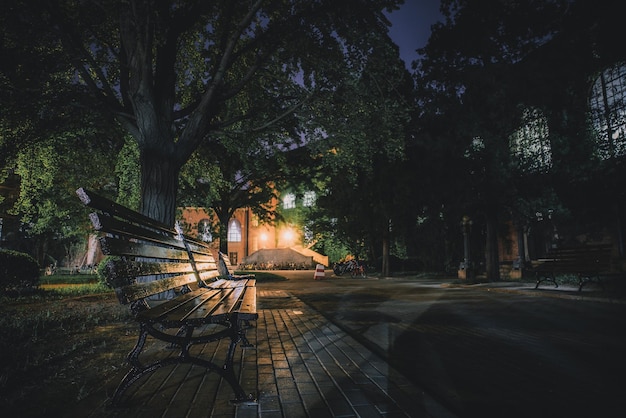 Una panchina vuota vicino agli alberi di notte
