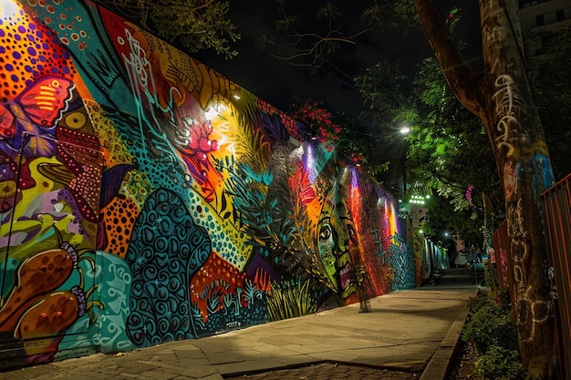 una parete colorata con un murale di una tigre e una giraffa