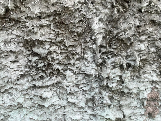 Una parete di roccia con uno sfondo bianco e una trama in bianco e nero.