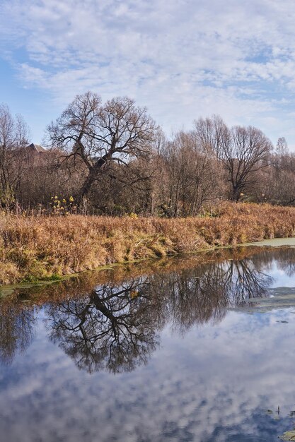 Una passeggiata lungo la sponda del fiume Snezhet Tardo autunno